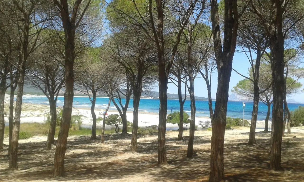 Marea Apartment Tanaunella 0*,