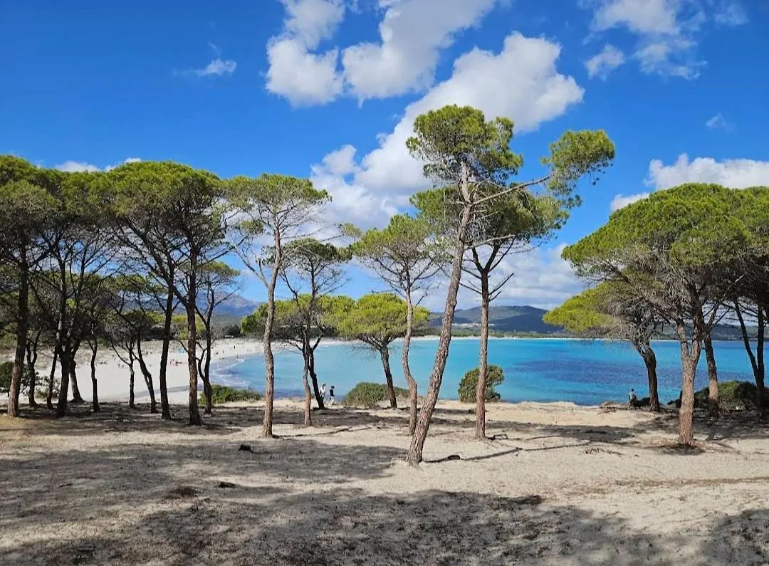Marea Apartment Tanaunella Italia